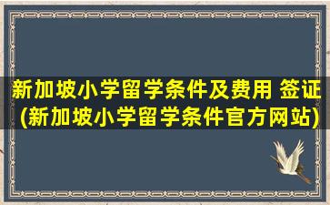 新加坡小学留学条件及费用 签证(新加坡小学留学条件官方网站)